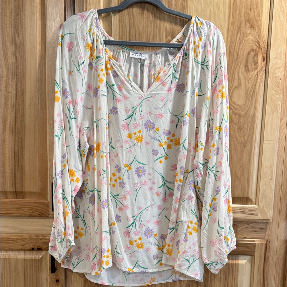 Emily Wonder Floral V-Neck Flowy Cottagecore Prairiecore Spring Top Size 2X